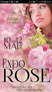 expo rose